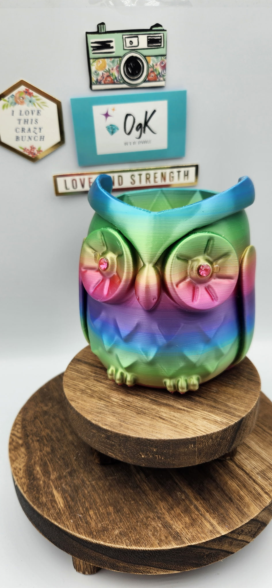 OgK Original Owl Pen Caddy