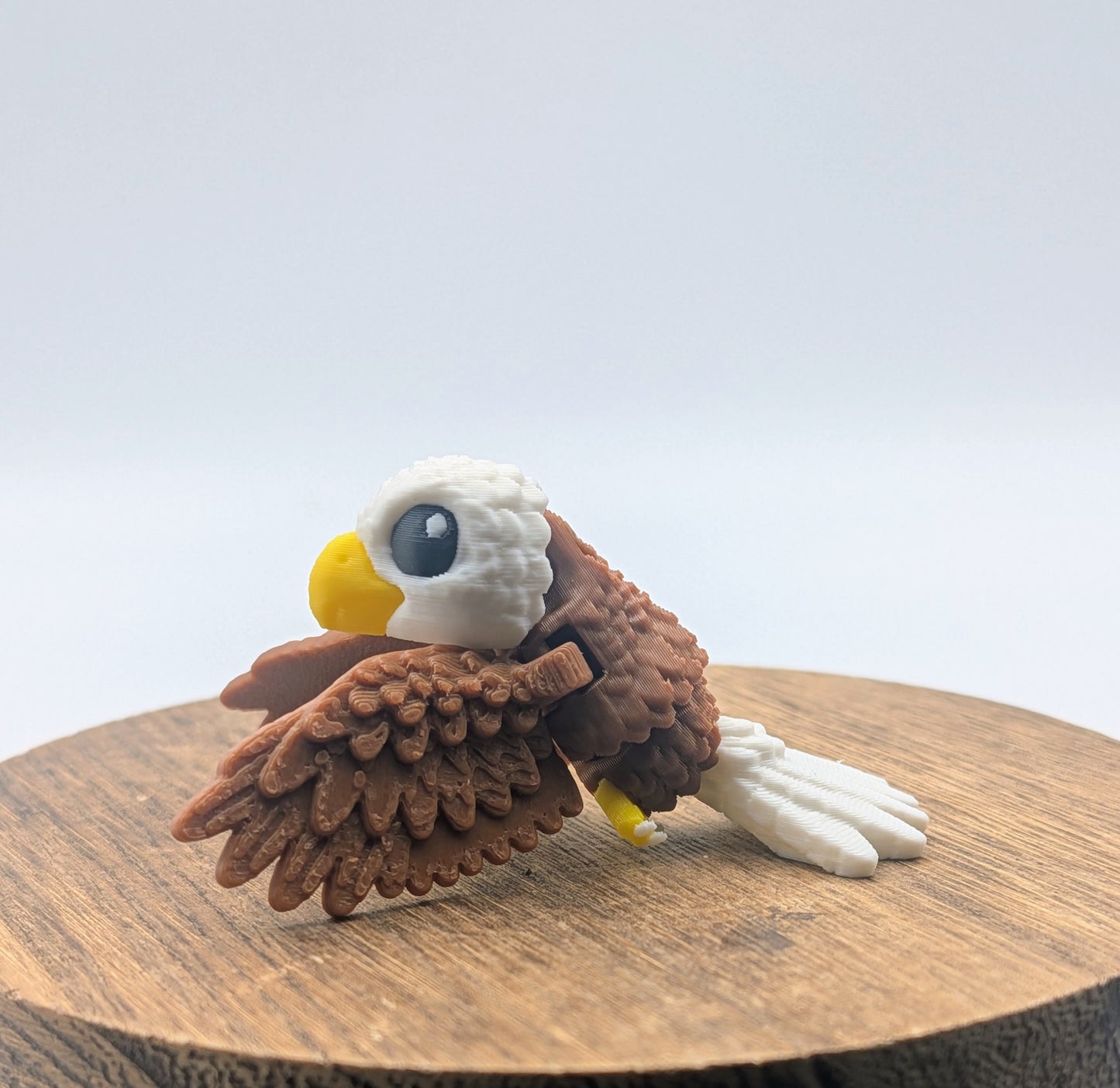 Bald Eagle
