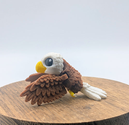 Bald Eagle