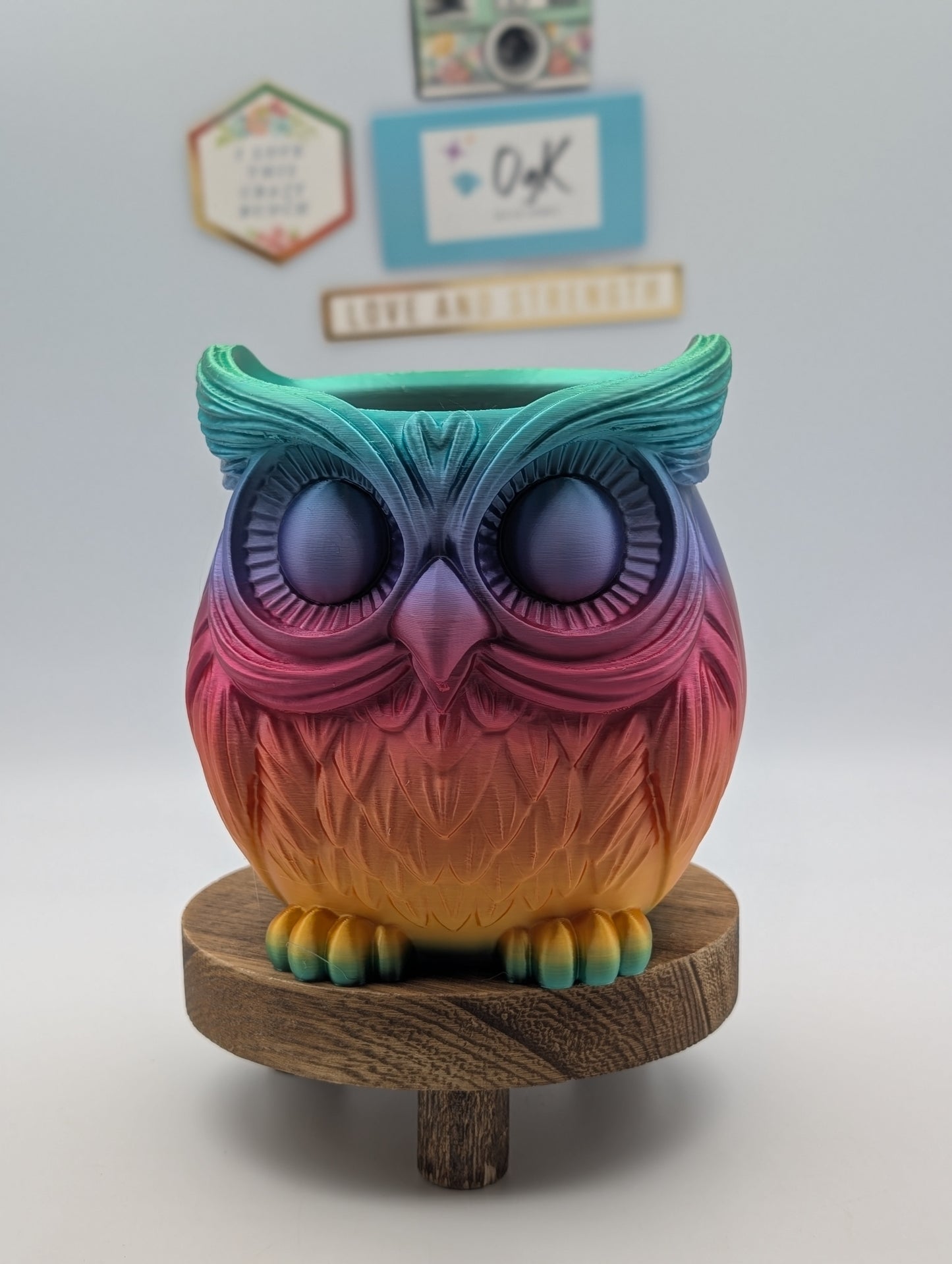 Wise Owl Rainbow Pen Caddy