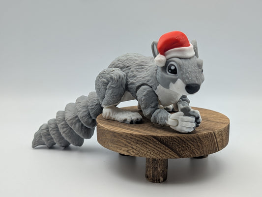 Santa Squirrel