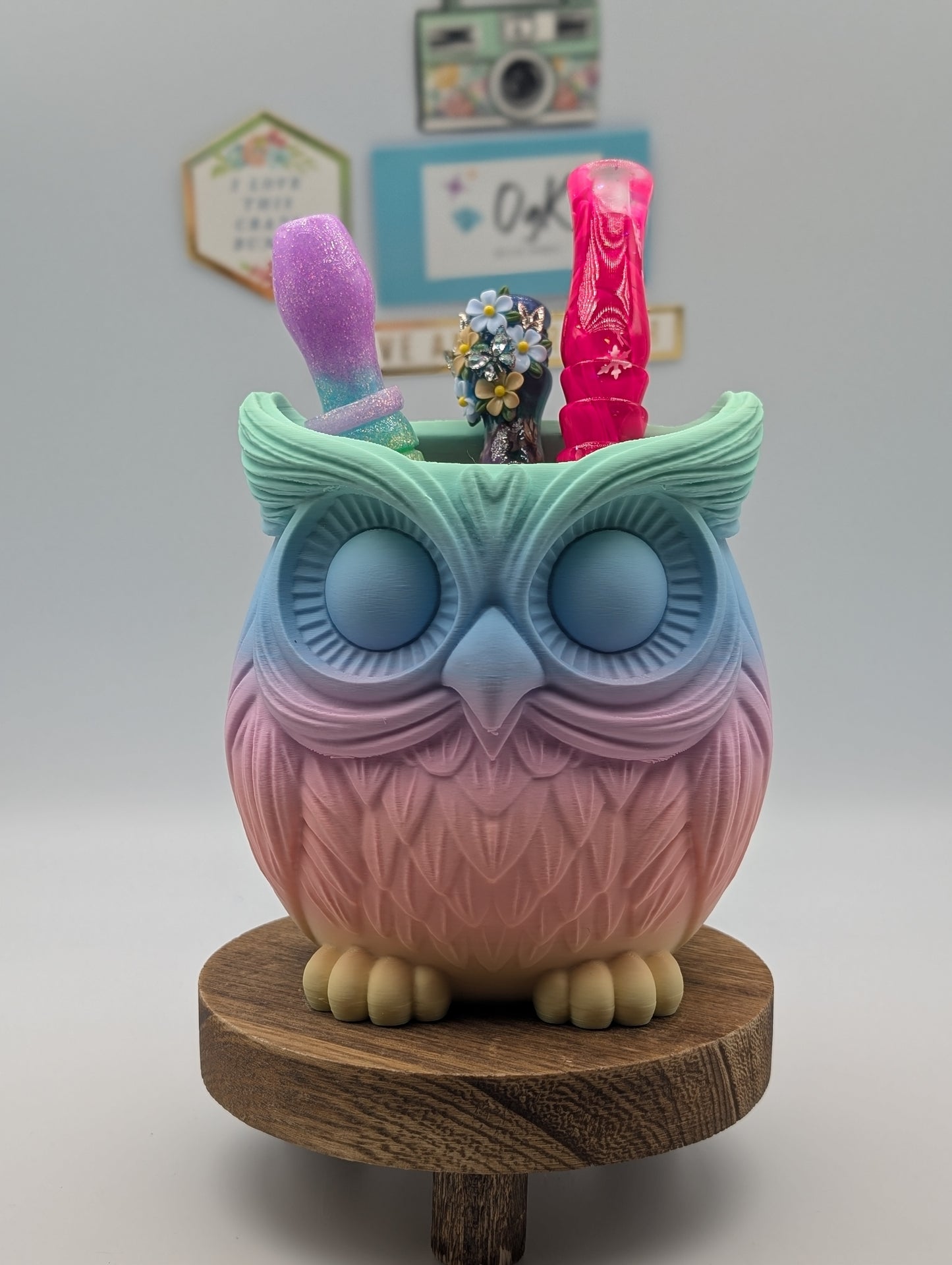 Wise Owl Rainbow Pen Caddy