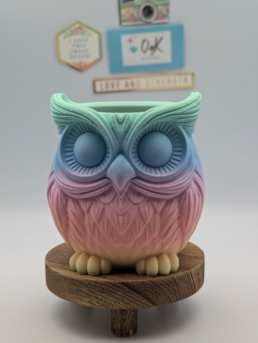 Wise Owl Rainbow Pen Caddy