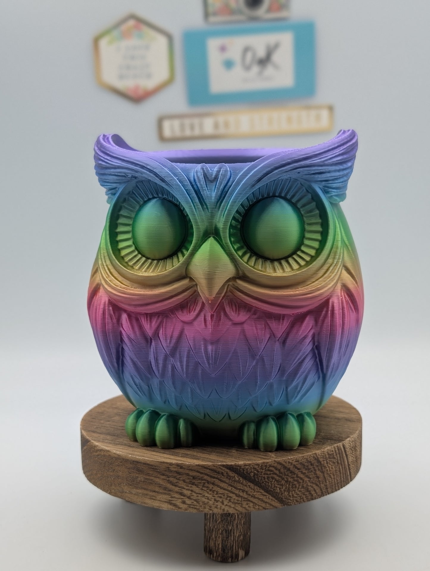 Wise Owl Rainbow Pen Caddy