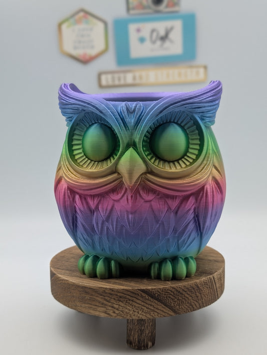 Wise Owl Rainbow Pen Caddy